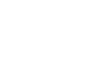 Brand Identity icon